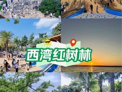 -宝安西湾红树林湿地公园