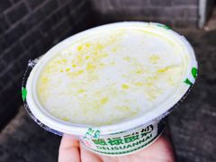 德禄酸奶-德禄酸奶(莫家街店)