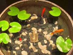 -曲水兰亭(北京四惠店)