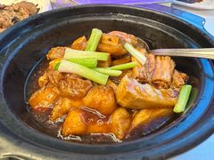 生猛游水大石斑-广州塔晖粤轩中餐厅