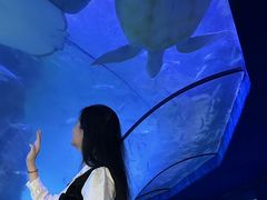 -左海海底世界