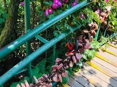 景点-信号山公园