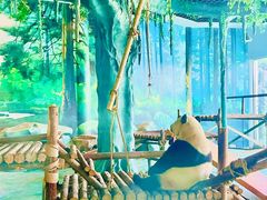 -五龙山野生动物王国