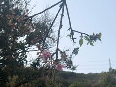 -小南山公园