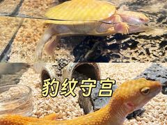 -太平洋海底世界