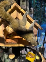 -酷嗒动物文化乐园(cutezoo西溪乐天城店)