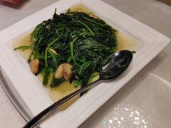 -满福隆酒楼(万绿园店)