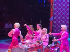 -珠海横琴长隆《卡卡虎奇遇记》