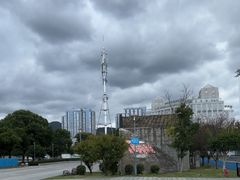 -爱樂咖啡(青年体育公园店)