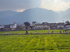 -喜林苑·稻田餐厅(品相府店)