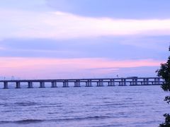 -宝安西湾红树林湿地公园