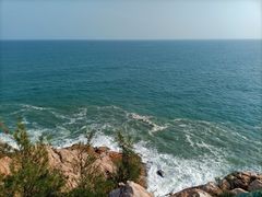 -广东惠东海龟国家级自然保护区