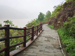 -羚羊峡古栈道森林公园