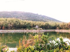 -游子山休闲旅游区