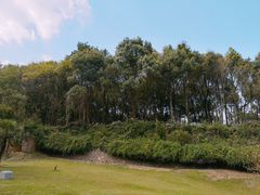 -平湖九龙山旅游度假区