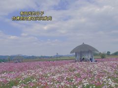 -径山花海