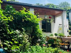 -美味之家·湖景农家乐(太湖东山店)