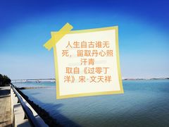 -大湾区中央湿地公园