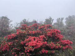 -广东天露山旅游度假区