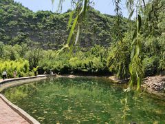 -黄河小浪底水利枢纽风景区
