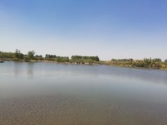 -东郊湿地公园