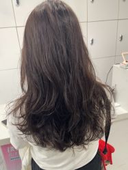 -镁连社·美联社