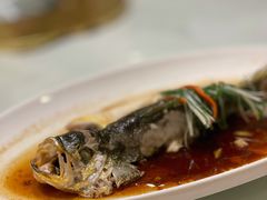 -天顺渔港·海景餐厅(星海广场店)