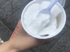 椰子雪糕-洪馨椰子