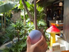 -菌自由丨野生菌火锅特色庭院餐厅(丽江古城店)