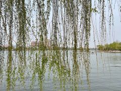 -济南大明湖景区