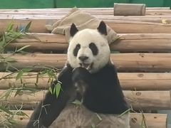 -柳州市动物园