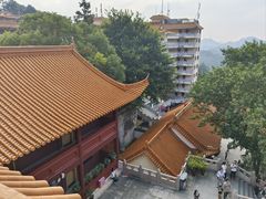 -深圳仙湖植物园