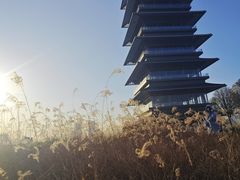 -沙口小炉烧烤