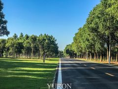 -艾溪湖湿地公园