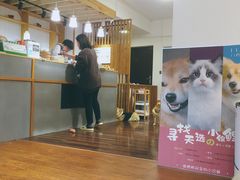 -豆柴町-柴犬主题狗咖(红鼎国际C座店)