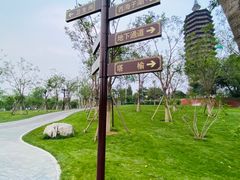 -西海子公园