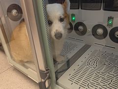 -FAELING PETS美天灵宠物(富力广场店)
