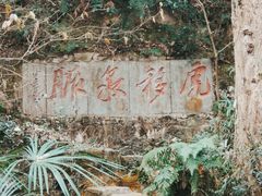 -虎跑公园