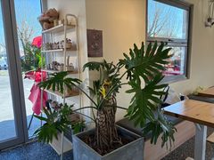 -小意思咖啡店(草桥店)