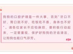 -瑞派申生动物医院·24H夜诊·国际动物医疗中心·骨外科(吴中路店)