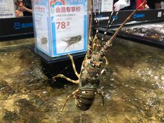 -盒马鲜生(曜一城店)