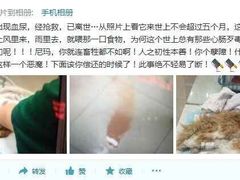 iphone_upload_pic-盛京一禾