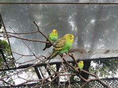 -李小龙乐园(顺德均安店)