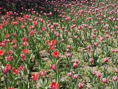 -长春公园(普阳街道)