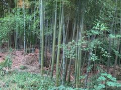 -木子山庄·安徽省老字号·中国炖锅宴