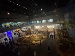 -自贡恐龙博物馆