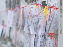 -山塘街