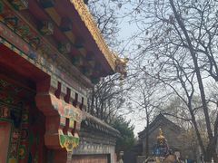-护国法轮寺