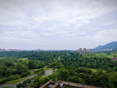 -成都蒲江花样年福朋喜来登度假酒店·宜客乐西餐厅