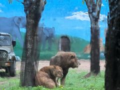 -秦皇岛野生动物园